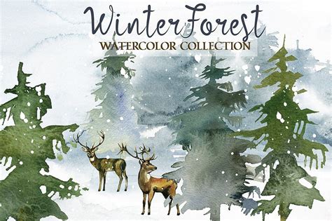Winter Forest Watercolor Clipart Pine Trees Animals