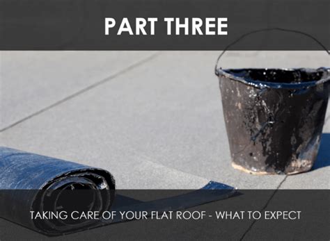 A Flat Roof For Your Home A Primer Part Taking Care Of Your Flat