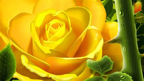 Yellow Rose Wallpapers (67+ background pictures)