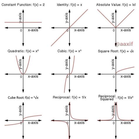 Different Types Of Polynomial Function And Their Graph Polynomial