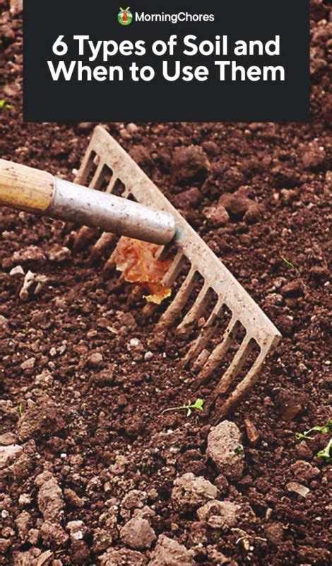 6 Types Of Soil And Which Plants Grow Best On Them Homesteading Alliance