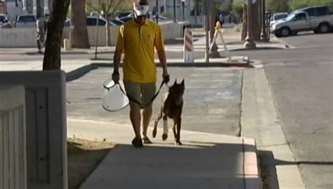 Man Reunited With Dog Seven Years After He Ran Away In Thunderstorm