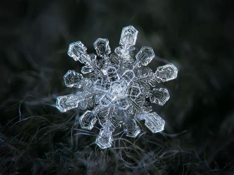 Real Snowflake By Chaoticmind75 On Deviantart Snowflakes Real