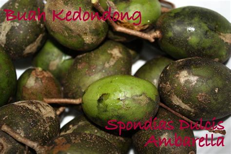 Buah nanas buah kedondong plis bantuin dong. buah kedondong 7 | Mahani Mohamad | Flickr