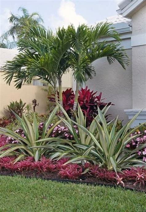 Florida Plants Landscaping Tropical Backyard Landscaping Small Front