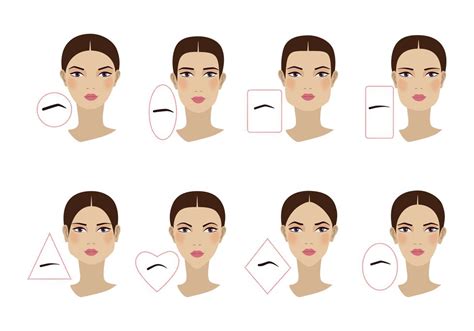 Eyebrow Shapes How To Find Your Eyebrow Shape