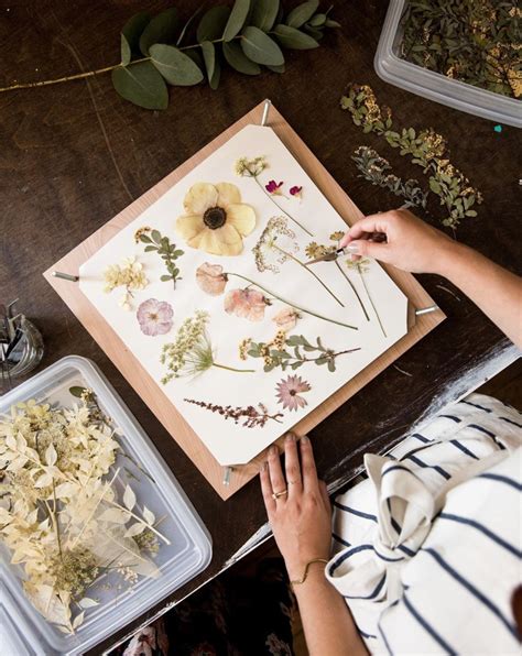 May June 2020 Recap — Framed Florals Dried Flowers Diy Pressed