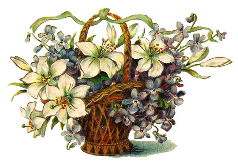 Antique Images Wildflower Image Free Flower Basket Digital Download