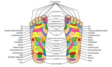 Health Benefits Of Foot Massage And Reflexology