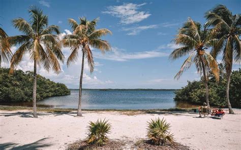 Best Key Largo Beaches Beaches You Dont Want To Miss On Your Trip