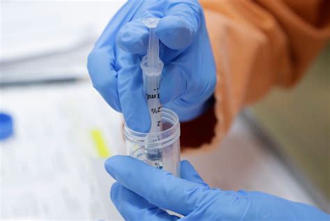 Pre Clinical Covid 19 Vaccine Trials Begin At Csiro Csiroscope