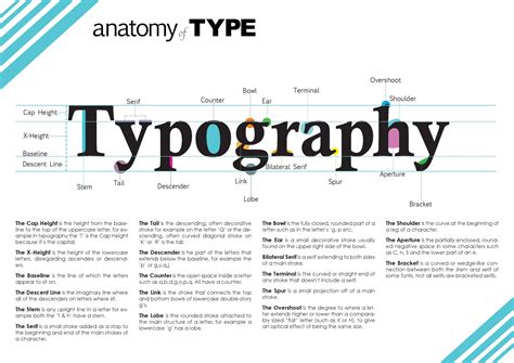 This Anatomy Of Type Page Was Made To Display The Anatomy Of Typography