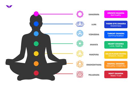 A Beginners Guide To The 7 Chakras And Their Meanings