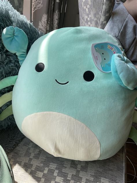 I Just Got My First Ever Squishmallow And I Did Not Realise They Were