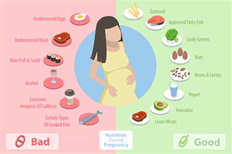 Pregnancy Diet And Lifestyle Lifestyle Medical Centers