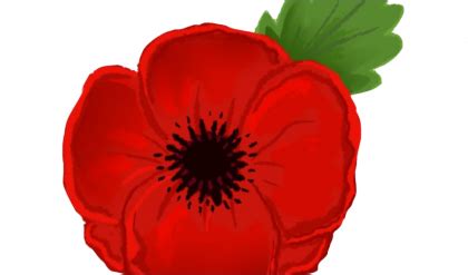 Remembrance Day Poppy PNG Image Transparent PNG Arts