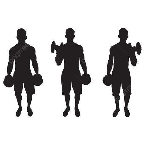 Silhouettes Of Man Doing Bicep Curls On White Background Vector Curls