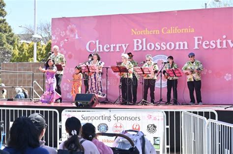 Cherry Blossom Festival 2023 San Francisco 19 Editorial Image Image