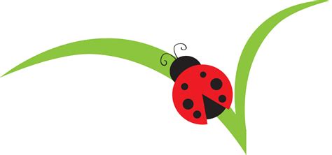 Animated Ladybug Clipart Free Download On Clipartmag