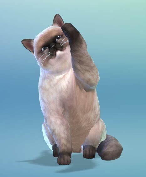 The Sims 4 Cats And Dogs Sims Vip Startsc