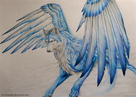 Similar with angry wolf png. Wolf with wings by Drachenseele on DeviantArt