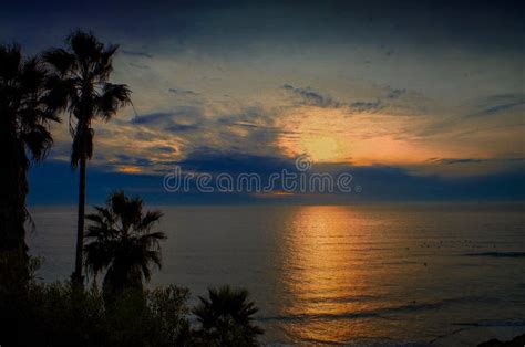 Pacific Ocean Sunset With Palm Trees In California Stock Image Image