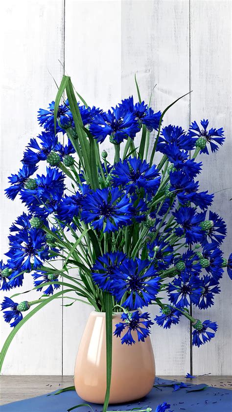 Details 61 Cornflower Blue Wallpaper Latest Incdgdbentre