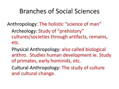 Ppt Branches Of Social Sciences Powerpoint Presentation Free