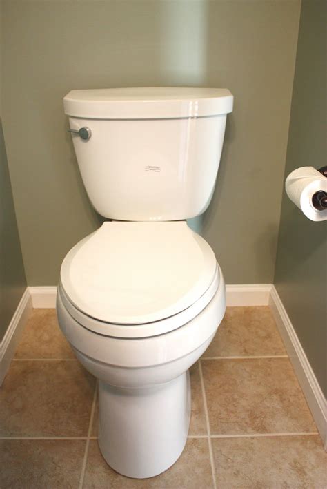 The Red Chair Blog Remodeling Buy This Toilet