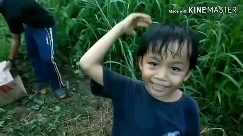 Suara pemikat burung wak wak. Menjerat Burung Wak Wak. - YouTube