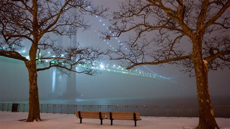 1920x1080 1920x1080 Bridge Lights Fog Trees Evening Snow Park