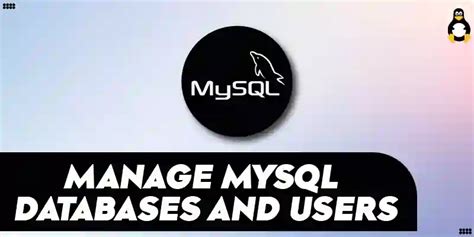 How To Manage Mysql Databases And Users From The Command Line Its