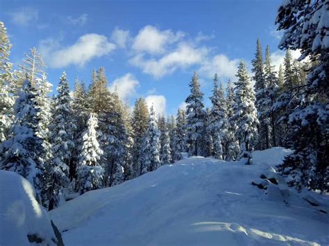 The Pacific Crest Trail Gorgeous Snow Scenery Rcozyplaces