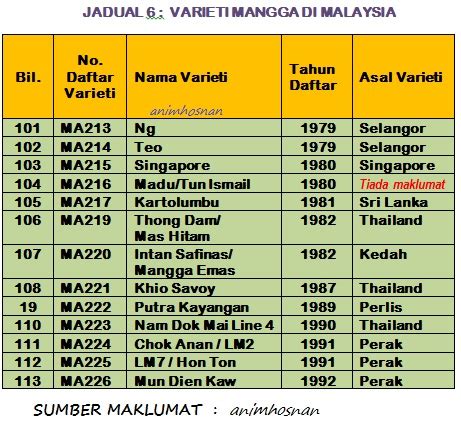 Sementara di malaysia, tepat tanggal 28 juli 1960 kembang sepatu disahkan sebagai bunga nasional malaysia. Anim Agro Technology: VARIETI - MANGGA DI MALAYSIA (Part 6)