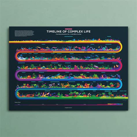 Timeline Of Evolution Infographic Poster The Kurzgesagt Shop