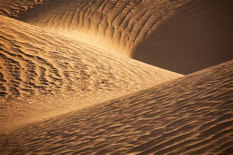 Sahara Desert Sand Dunes Rosa Frei Photography