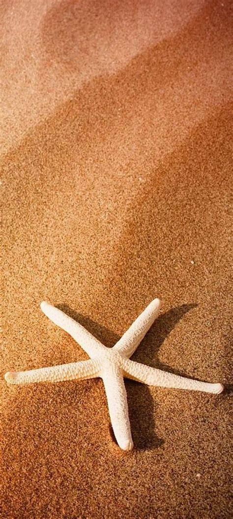 Check spelling or type a new query. Beach Wallpaper for Phones with Starfish on the Sand - HD ...