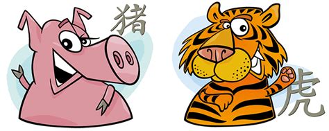 Instead, they sit back and evaluate all angles before jumping in. Pig and Tiger Compatibility