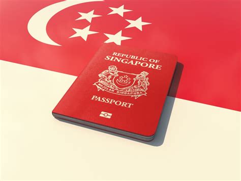 Singapore Business Visas Explained Types And Process 2023