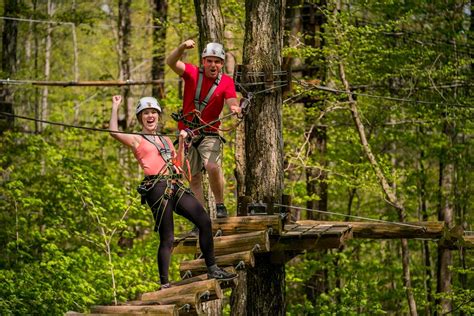 Treetop Trekking Voted As Top Outdoor Attraction In Ontarios Choice