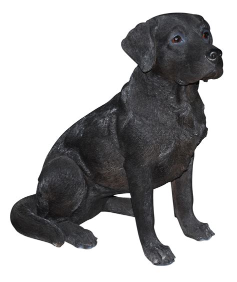 Vector Black Labrador Dog Transparent Png Black Lab Png