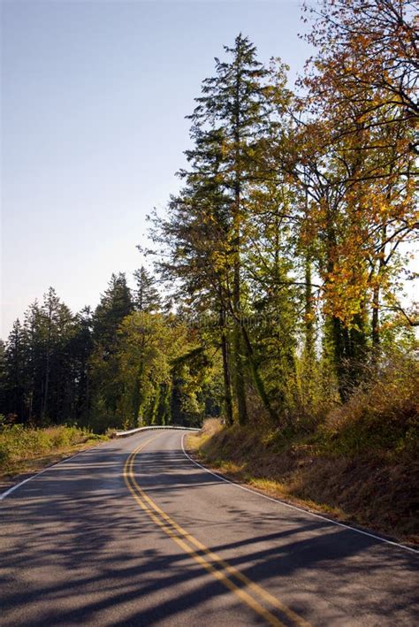 Autumn Winding Road Among The Trees In The Columbia Gorge Stock Image