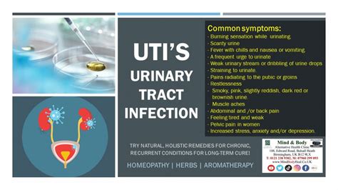 Utis Urinary Tract Infections Mind And Body Holistic Health Clinic