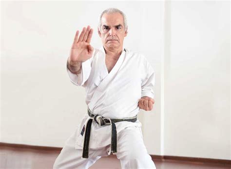Escola De Karat D Do Brasil Promover Curso De Padroniza O Do Kata Meikyo Shotokan Revista Bud
