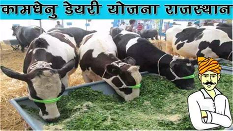 राजस्थान कामधेनु डेयरी योजना 2023 आवेदन फॉर्म Rajasthan Kamdhenu Dairy