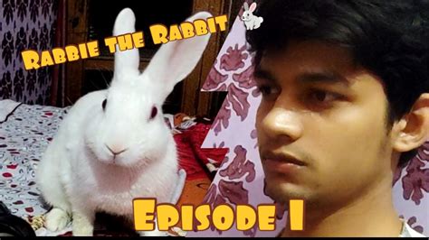 Rabbie The Rabbit Episode 1 Youtube