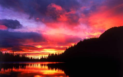 Sky Clouds Sunset Silhouette Forest Tree Reflection Lake