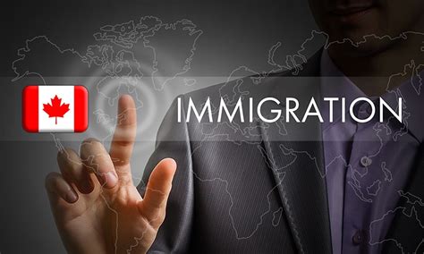 how to find a good immigration lawyer for your case timmins immigration news