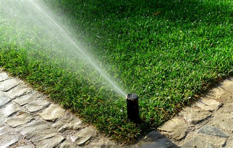 Tips For Proper Lawn Watering