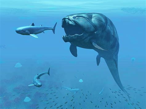Dunkleosteus Hunting Primitive Sharks Photograph By Walter Myers Pixels